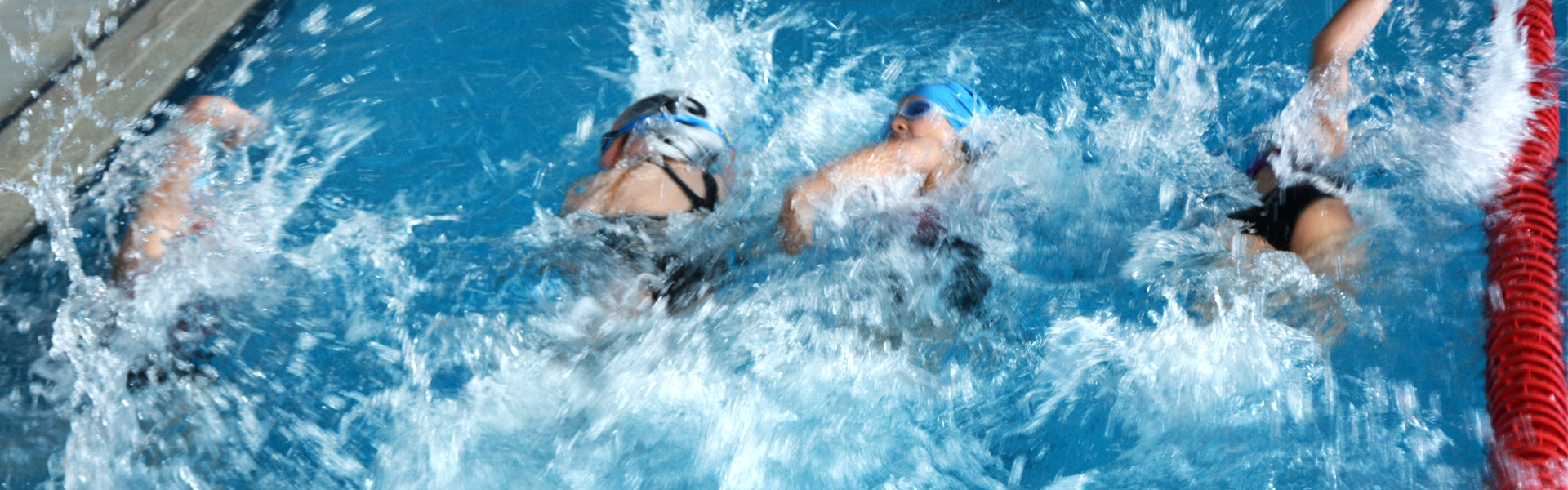 <div style="background: rgba(0,0,0,0.3) ; padding: 12px;"><h2>TRAININGSINFOS</h2>
<p>SWIM / BIKE / RUN Training<br />
<br />